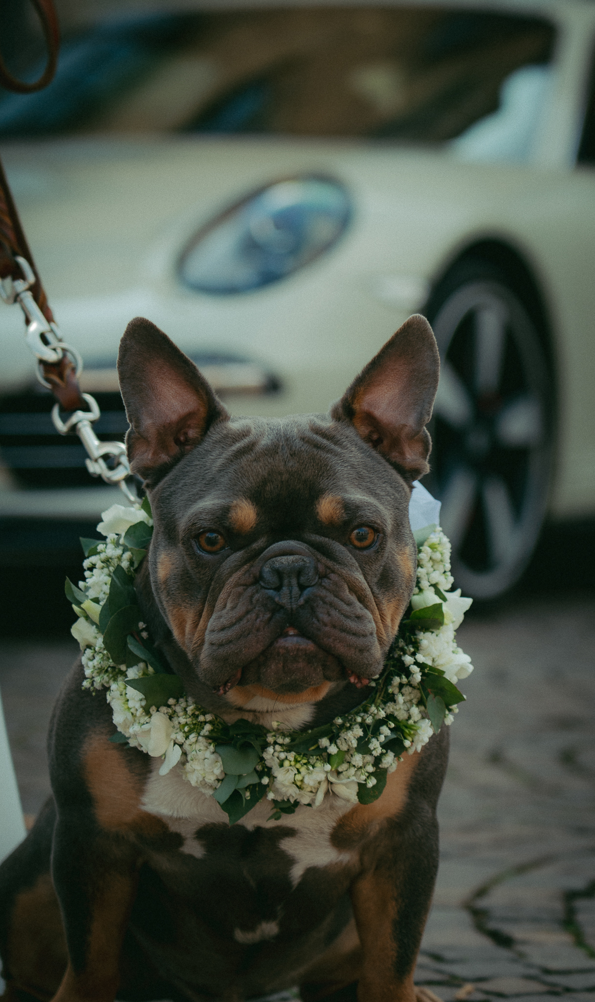 Hochzeit (3) — Hochzeitfotografie